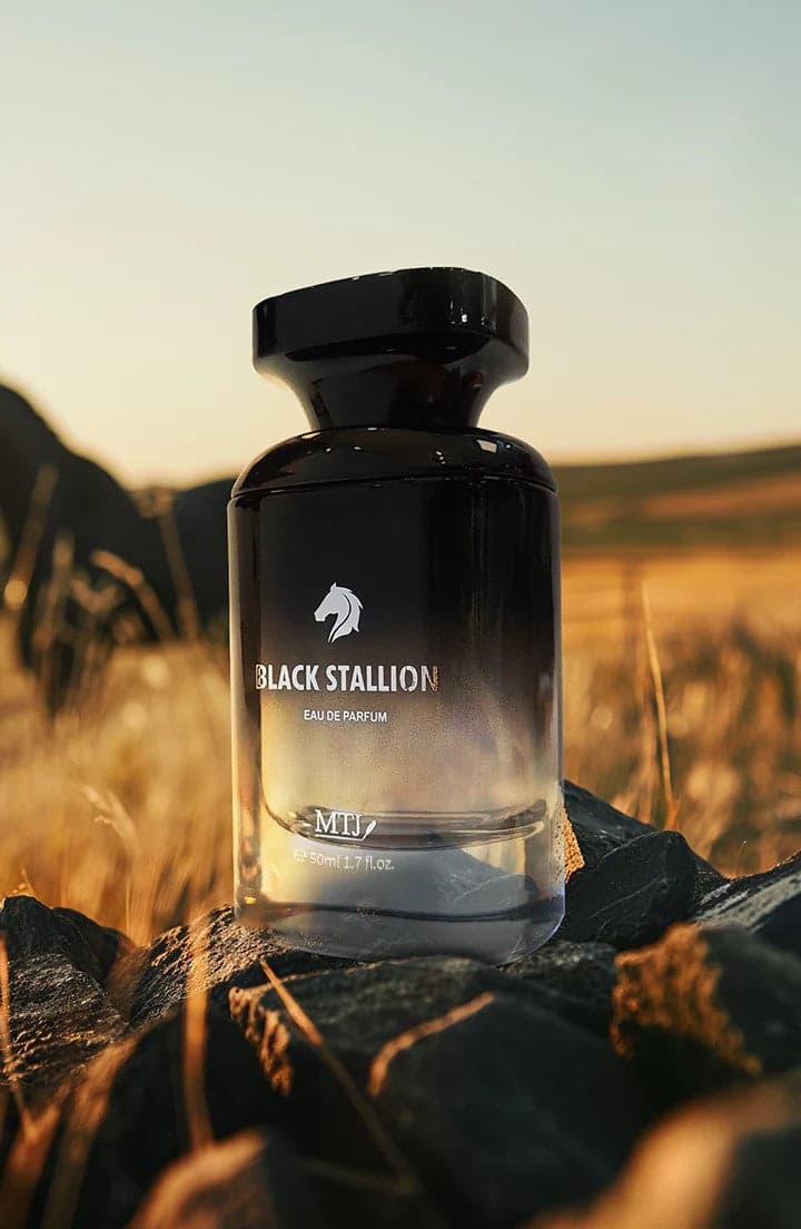 MTJ Fragrances BLACK STALLION
