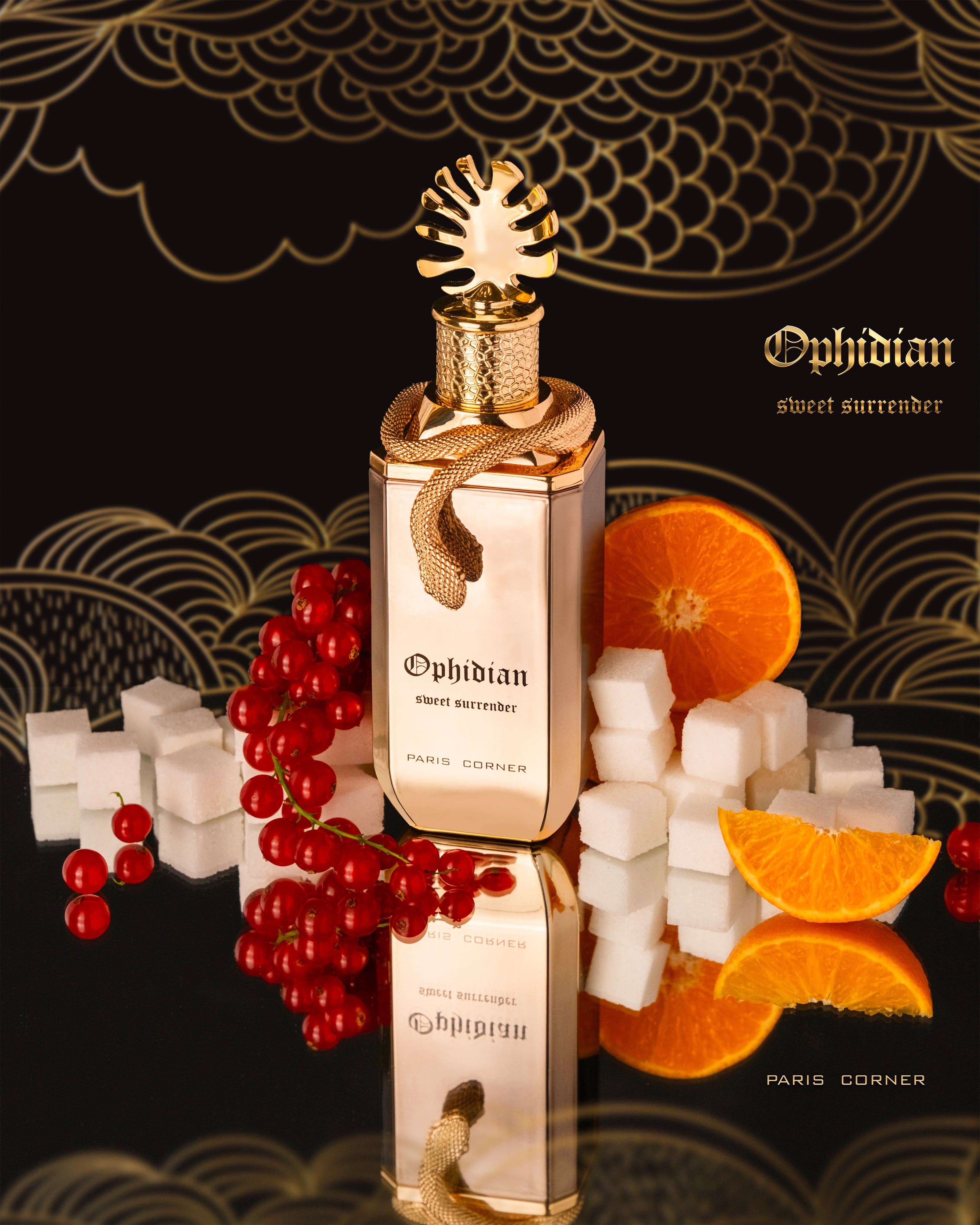 Paris Corner Ophidian sweet surrender