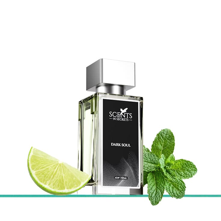 Scents N Secrets Dark Soul