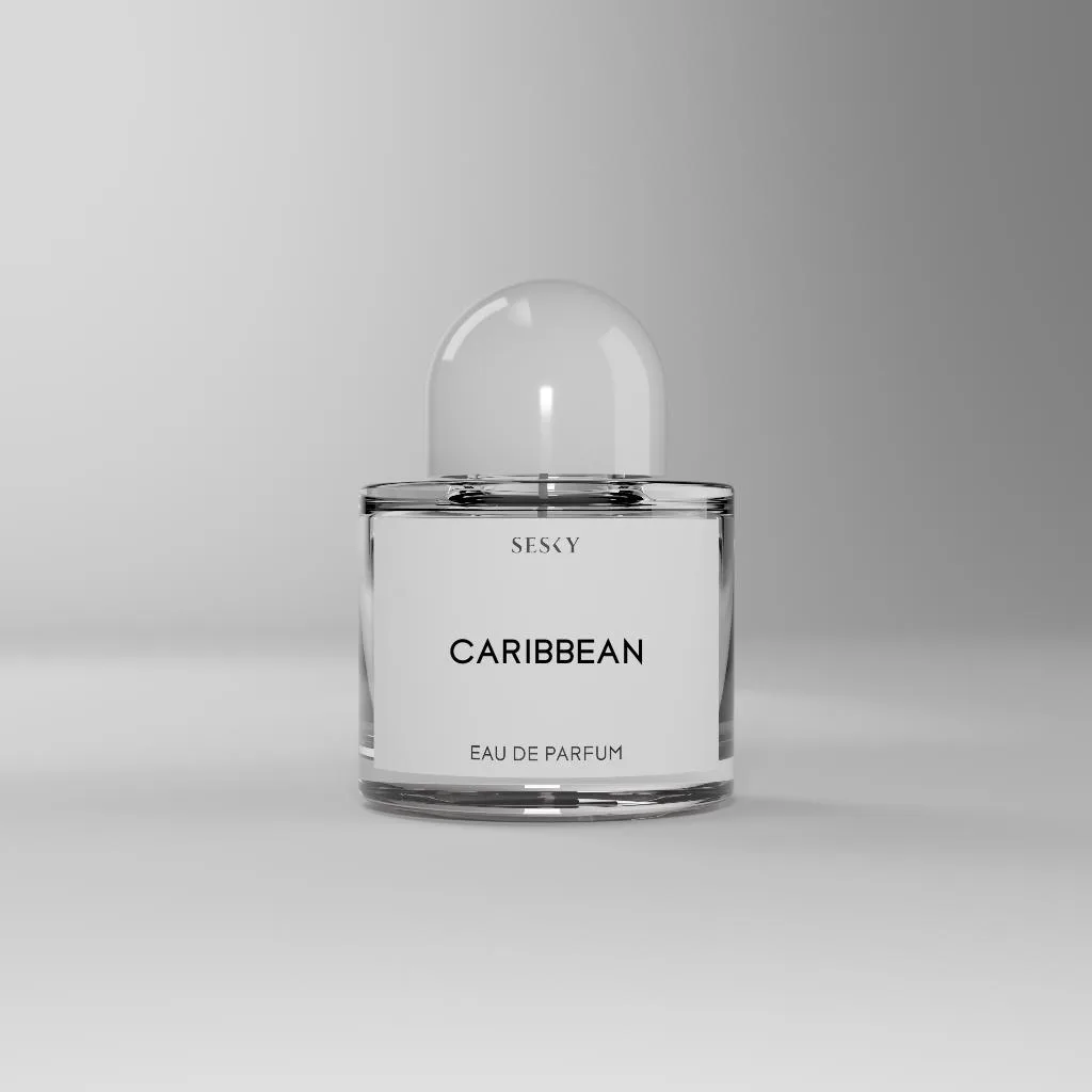 Sesky Perfumes Caribbean - Impression Of Nautica Voyage
